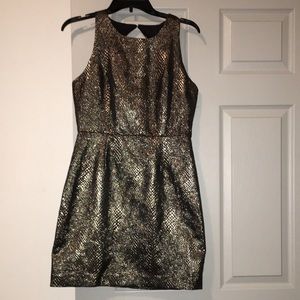 JACK BB Dakota gold metallic brocade cocktail